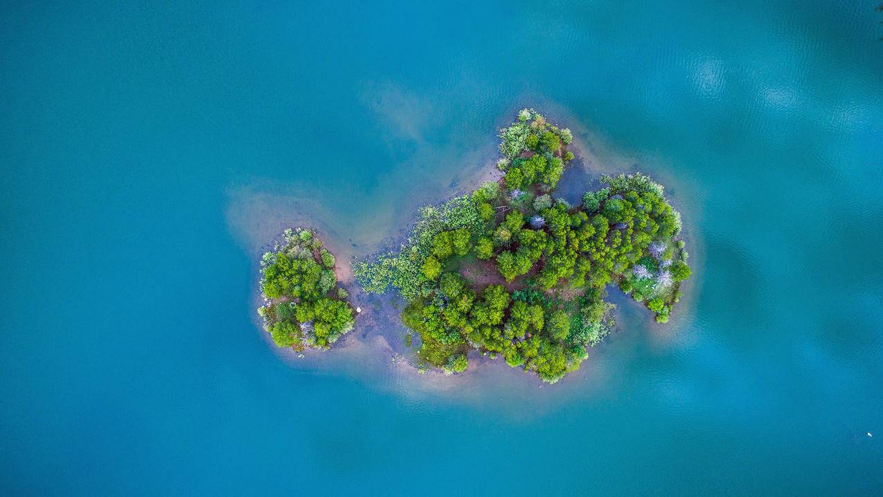 网红商城